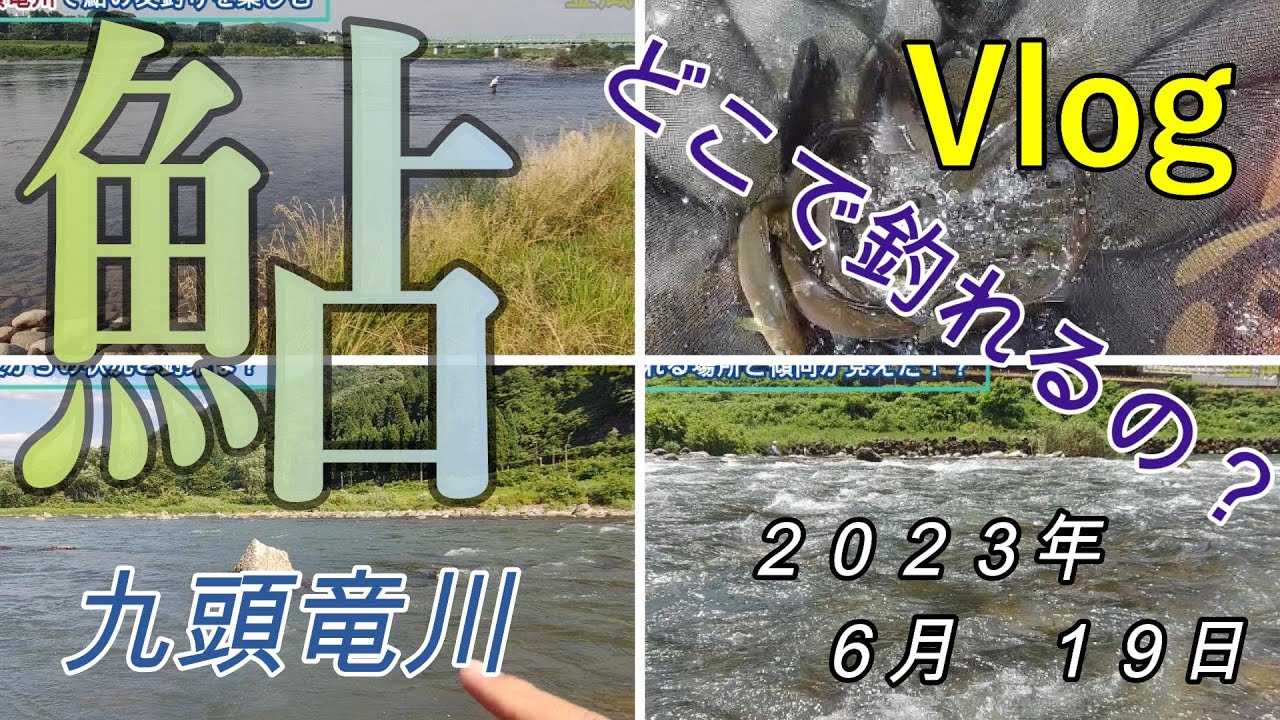 【九頭竜勝山】どこで釣れるの？　２０２３．６．１９