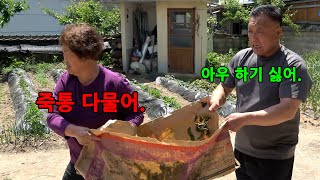 남편이 일 하기싫다고 계속 징징댄다면?