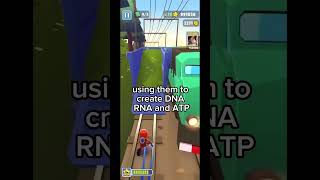 APES: Phosphorus Cycle #apclasses #apes #collegeboard #subwaysurfers #enviromental #ecosystem