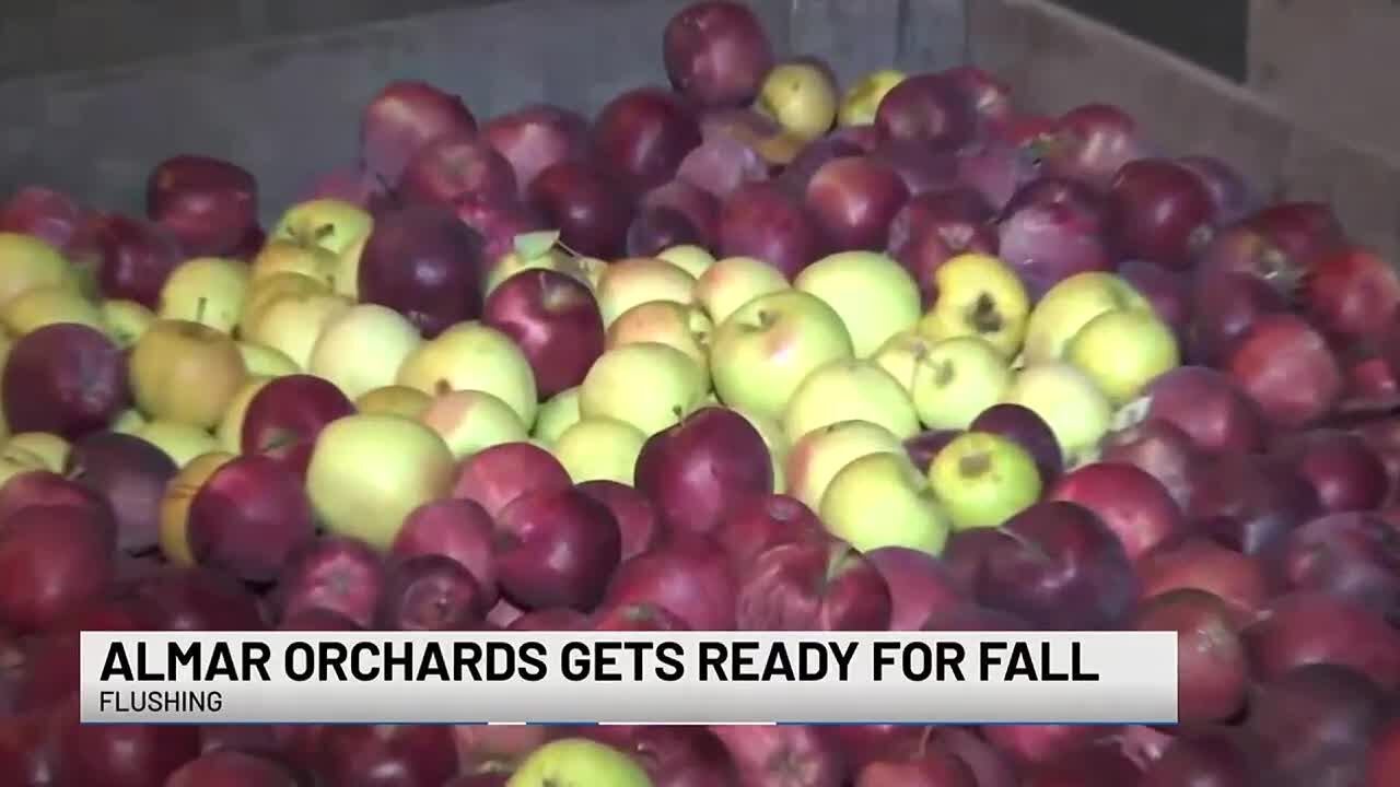Almar Orchards Gets Ready for Fall