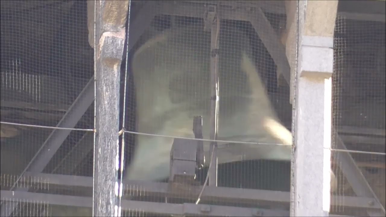 Campane di Tirano (SO) - Chiesa collegiata prepositurale di San Martino di Tours