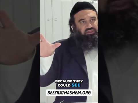 Warum Tiere angreifen