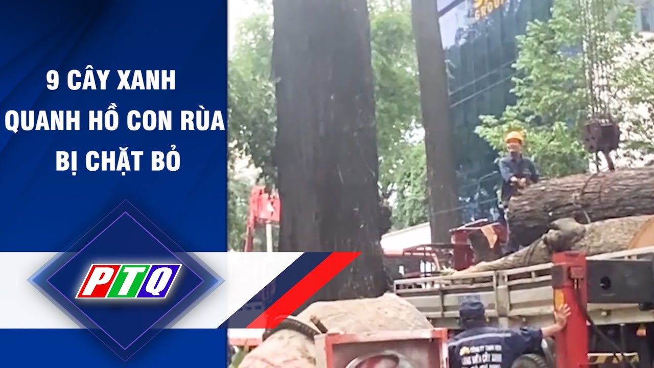 9 cây xanh quanh hồ Con Rùa bị chặt bỏ | PTQ - youtube