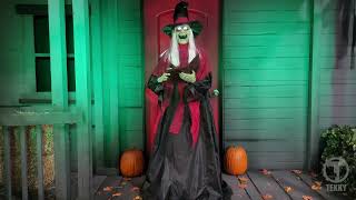 The Home Depot Animated LED Spell-casting Witch™ demo