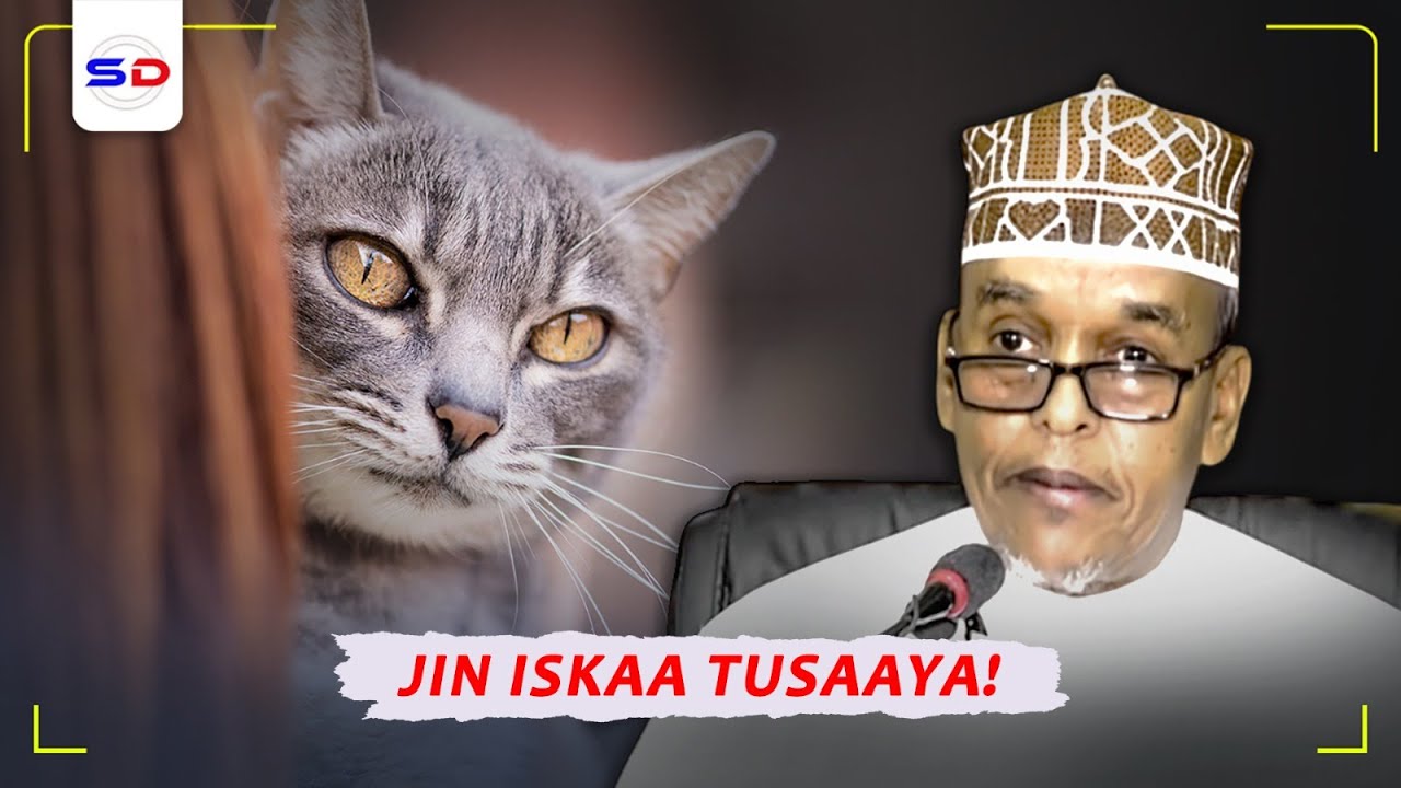 Jinka Ayaa Iskaa Tusaaya Hadii aad Xiidmaha Bisada Qalajiso Ka Dibna | Sh Maxamed Ismaaciil