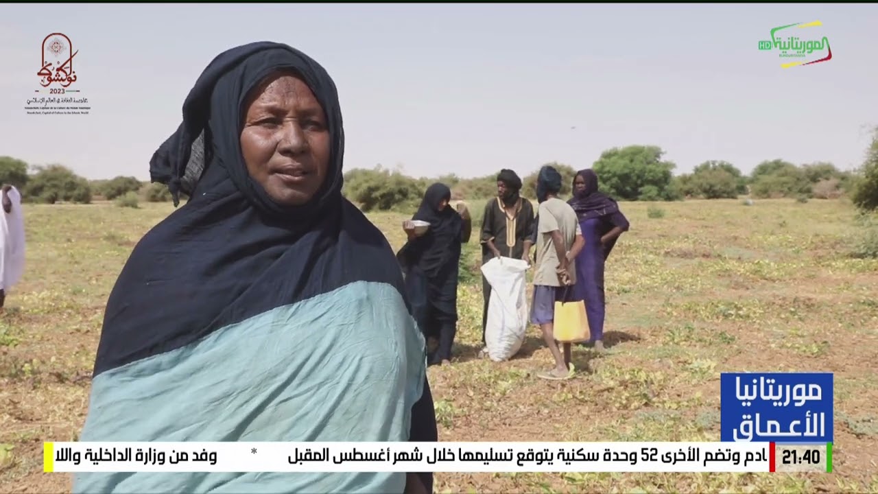 موريتانيا الأعماق ( تامشكط) 27-04-2023