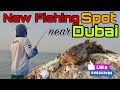 New Fishing Spot in  Umm Al Quwain, UAE. 20-30 Minutes travel only.