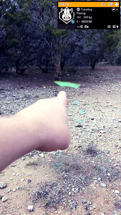 Animal Tracks - In Real Life (theHunter: Call of the Wild) #cotw #thehuntercallofthewild