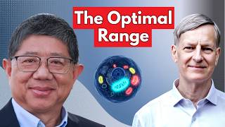 The NAD Expert: This Is the Ideal Level for Your Cells | Dr Jin Xiong She