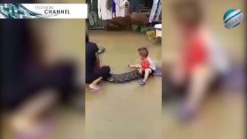 Incredible moment three year old boy rides a giant PYTHON | Breaking News!