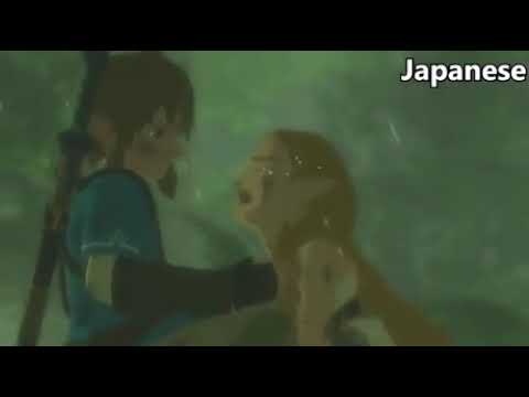 Legends of Zelda-Zelda crying in different languages|hillarious!