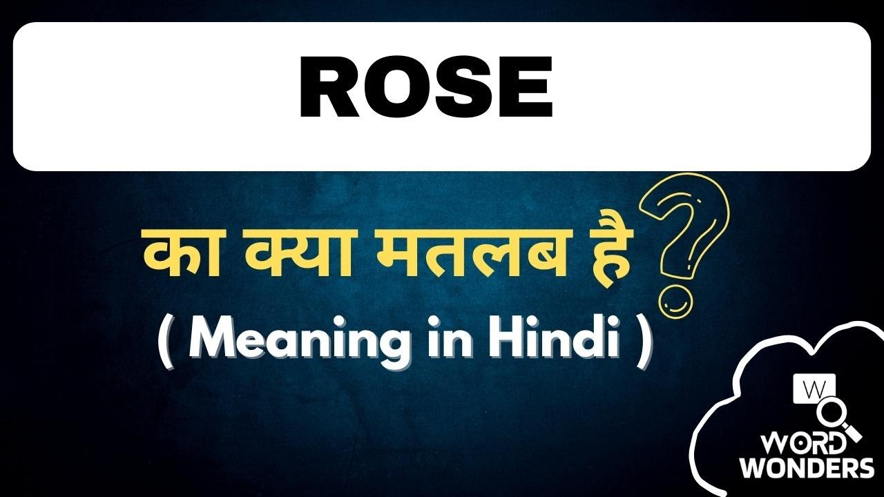 Rose Meaning in Hindi Rose ka Hindi me Matlab Word Meaning I Word