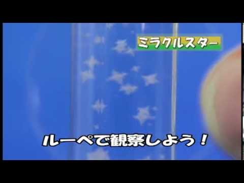 ミラクルスター miracle star