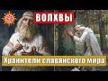 Волхвы-хранители славянского мира. Что они нам доносят из глубины веков и тысячелетий