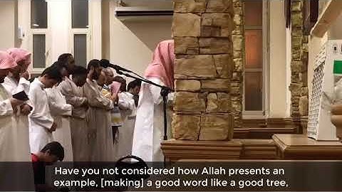 عمير شميم. ما تيسر من سورة إبراهيم. تلاوة هادئة
