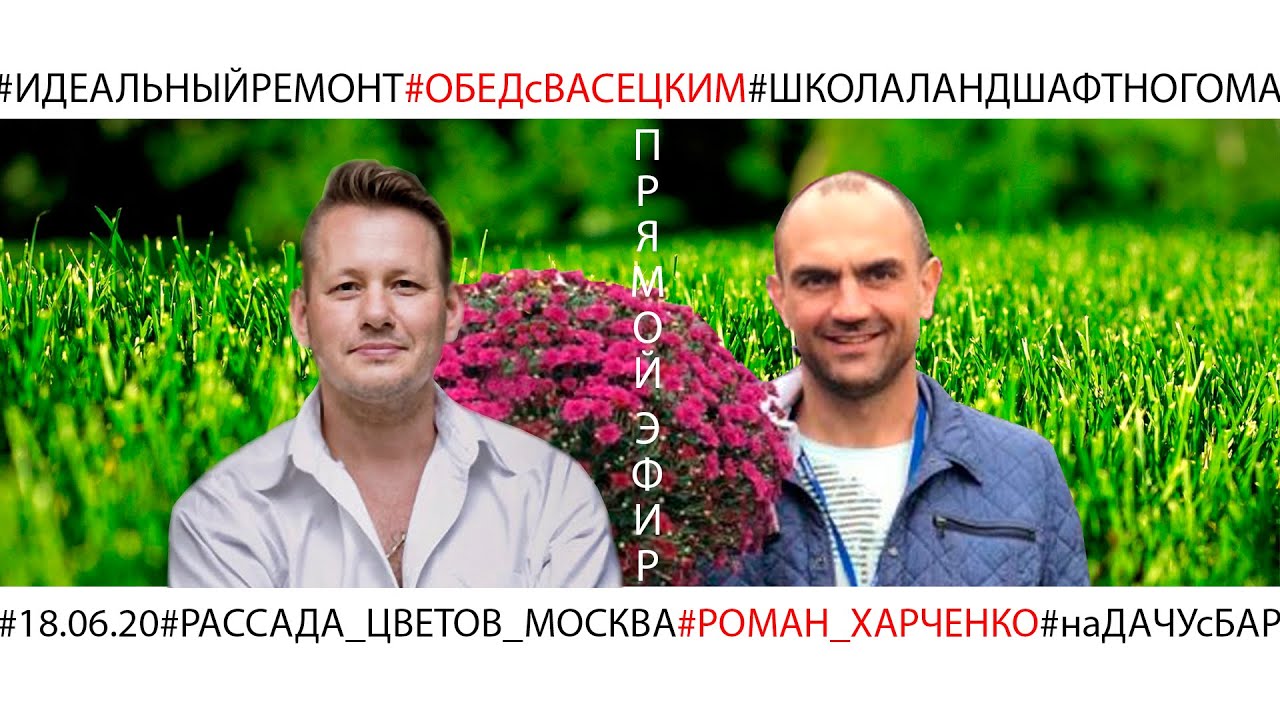 Харченко питомник растений. Теплица харченко в островцах. Островцы питомник растений. Харченко рассада. Цветочные фирмы.