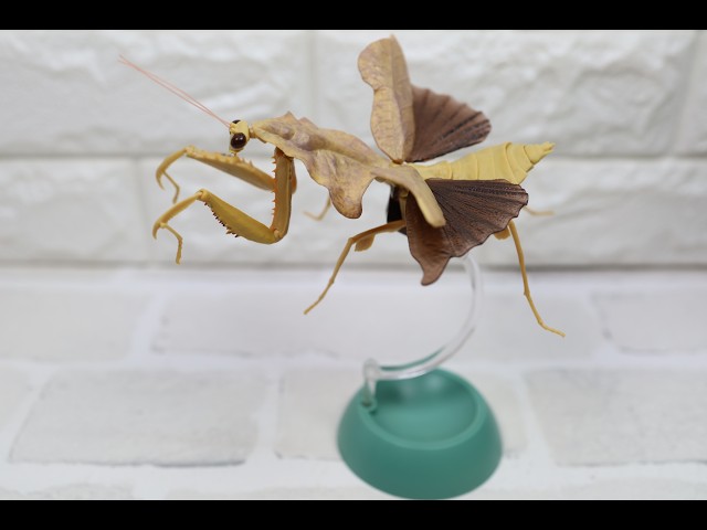 ピカソ リトグラフ カマキリ パブロ・ピカソ - 「鳩を抱く少女