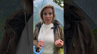Hoe Zit Dat Nou Feitelijk? Wat Doet De Gemeenteraad