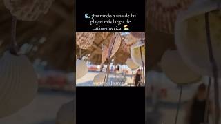 Playa Novillero Visita Y Conoce México