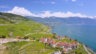 4K Lavaux, Lac Léman Vaud SWITZERLAND アルプス山脈