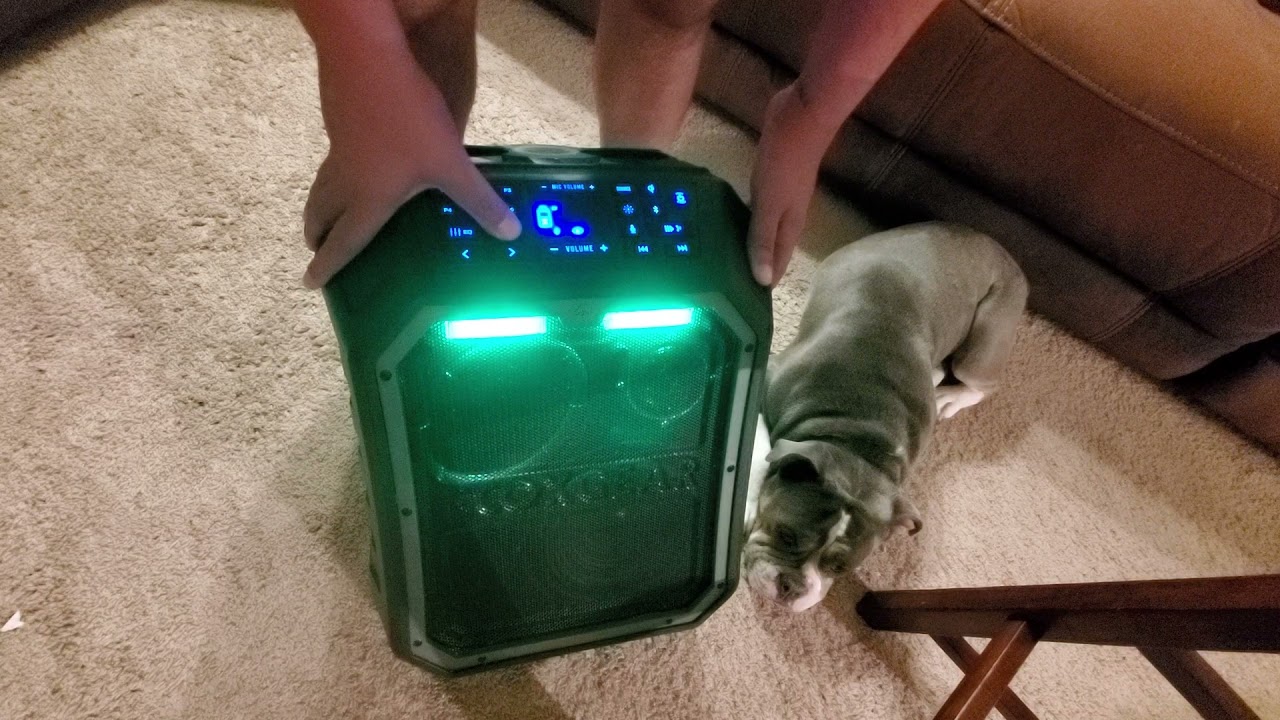 Review of Ecogear Ecoboulder Max Bluetooth Speaker