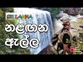 Travel with Chatura | නළඟන ඇල්ල (Vlog 232)