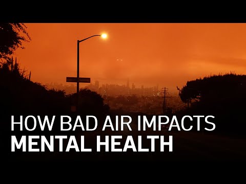 Video: Hoe laat brak er slechte lucht?