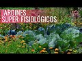 ALIMENTOS SUPER-FISIOLÓGICOS // NESTOR PALMETTI