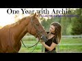 One Year with my OTTB