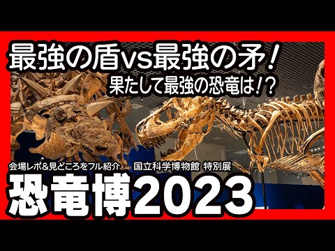 特別展「恐竜博2023」 #国立科学博物館 ／究極の防御VS肉食恐竜の進化！特別展「#恐竜博2023 」会場をフル紹介 #恐竜博 #きょうりゅう 大阪展は7/7より #大阪市立自然史博物館