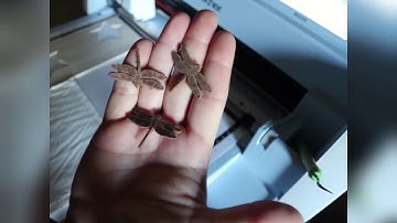 FUN review & use of the new ScanNCut DX 225 Brother SDX Jen Blausey