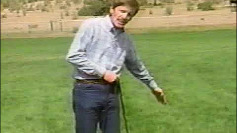 "Bert Pelletier: The Official Dog Training Video" VHS