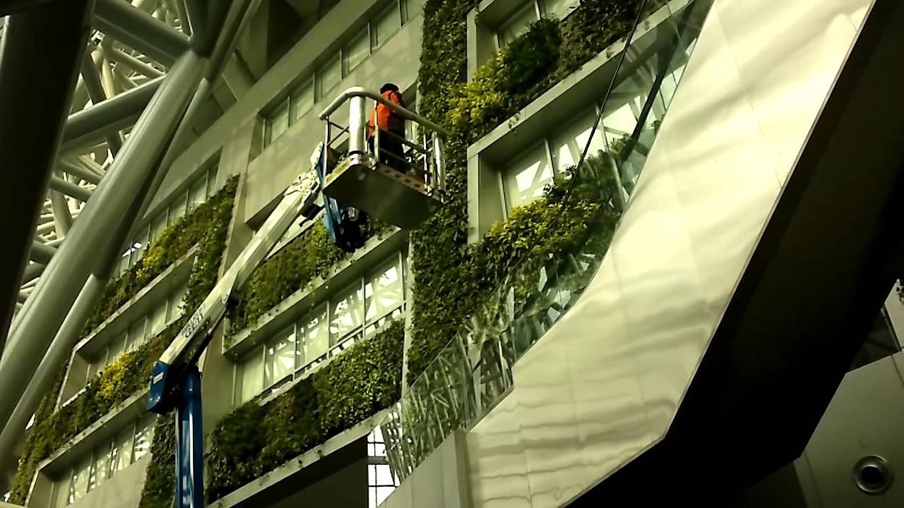 BLUE LITHIUM C22 at City Hall   Seul  Video 1