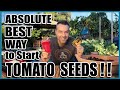 Best Way to Start Tomato Seeds Indoors (or Outdoors)