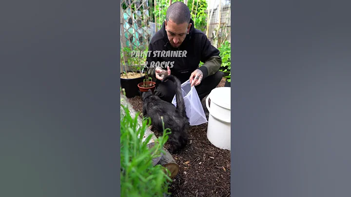 DIY natural method to improve soil biology in your garden! #shorts