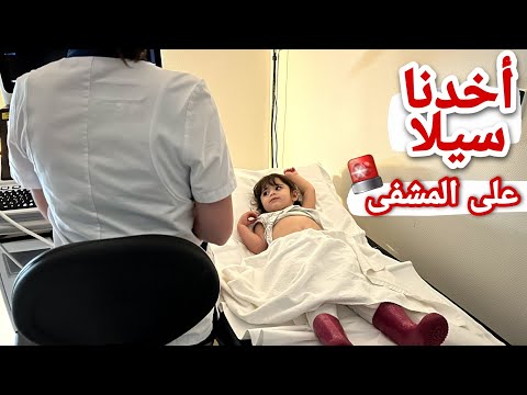 فيديو: لماذا تأكل الخنازير السيلوب؟