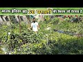 South india   50   variety        