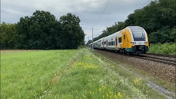Macro of the RE1 of the ODEG with 3462 507 9  #re1 #macro #trainspotting