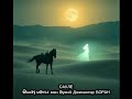 САУЛЕ Сөзі мен музыкасы: Жихангир БОРАН