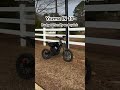 Best Starter E-Bikes Part 1 #cool #ridstar #ebike #viral #surron #escoot #budget #rider #ride #epic