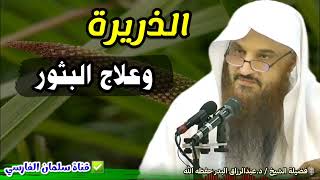 الذريرة نبات هندي حار لعلاج البثور استعمله الرسول ﷺ وفيه فوائد للمعدة و الكبد | د. عبدالرزاق البدر