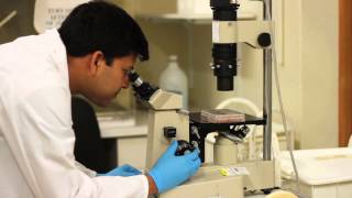 Cosby kid Keshia Knight Pulliam engaged to former NFLer Ed Hartwell Information