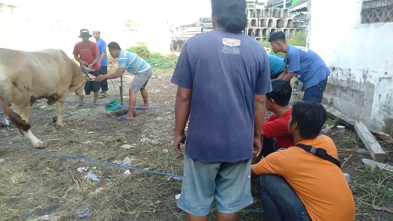 idul kurban adha 2022 di RSI NYAI AGENG PINATIH GRESIK