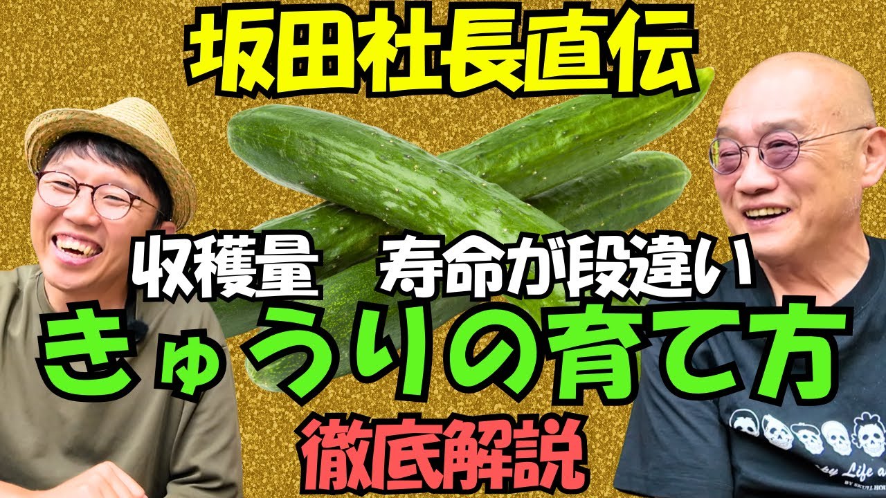 Directly from President Sakata] A thorough explanation of how to