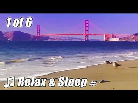 â www.wavesdvd.com â 1 OF 6. READ MORE + COOL VIDEO LINKS - CLICK NOW - - 1 of 6 - San Francisco. READ MORE... â« RELAX & SLEEP #1 Relaxing music San Francisco smooth piano Jazz nature scenes scenic video relax Enjoy jazz music as the fog roles in the Golden Gate. http - Take a beach break with video from our nature sounds only "California: Coastal wildlife and waterfalls" DVD. We've decided to make music videos for youtube with our footage on this new HDnatureTV channel. â¢ NEW! - E-MAIL NOTIFICATIONS - SUBSCRIBE (or Re-Subscribe again) and CHOOSE to receive an E-MAIL NOTIFICATION every time we upload a new video so you won't miss a thing! â¢ RECEIVE new "beach breaks" every Monday and/or Thursday. BOOKMARK our 2 channels: our main channel "WavesDVDcom" - : âªwww.youtube.com and our music video channel: "HDnatureTV" - âªwww.youtube.com JOIN US ON: FACEBOOK: apps.facebook.com TWITTER: twitter.com YOUTUBE: www.youtube.com WEBSITE: www.wavesdvd.com Enjoy the Best Beaches with ocean waves nature sounds from Hawaii, California, Florida, and the Caribbean from our Best Selling - Award Winning - WAVES Virtual Vacation DVDs and Blu-ray in HD. These relaxing videos are the perfect gift for stress relief, relaxation meditation & beach lovers. Relaxation music tracks are now optional on our bonus relaxing music video on HD Hawaii Beaches. WAVES relaxation video & DVDs will help relax you by creating a beautiful and soothing environment on the beach within minutes on your PC or HDTV <b>...</b>