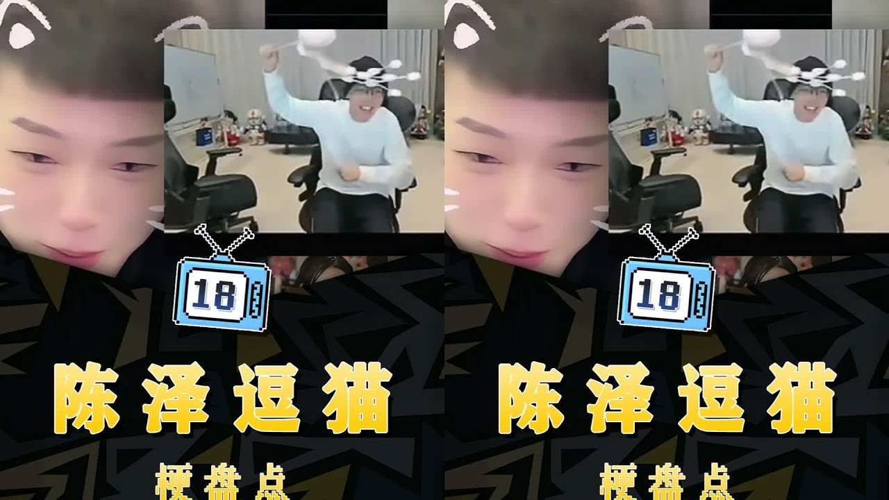 陳澤逗貓逆天，逗貓達人！三度戲耍coke，小貓被逗哭