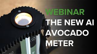 Webinar: How AI Made the Avo Quality Meter More Accurate and Easier to Use