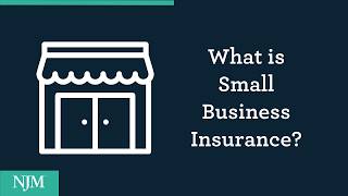 What is Small Business Insurance?