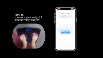 How to use Amazfit Smart Scale