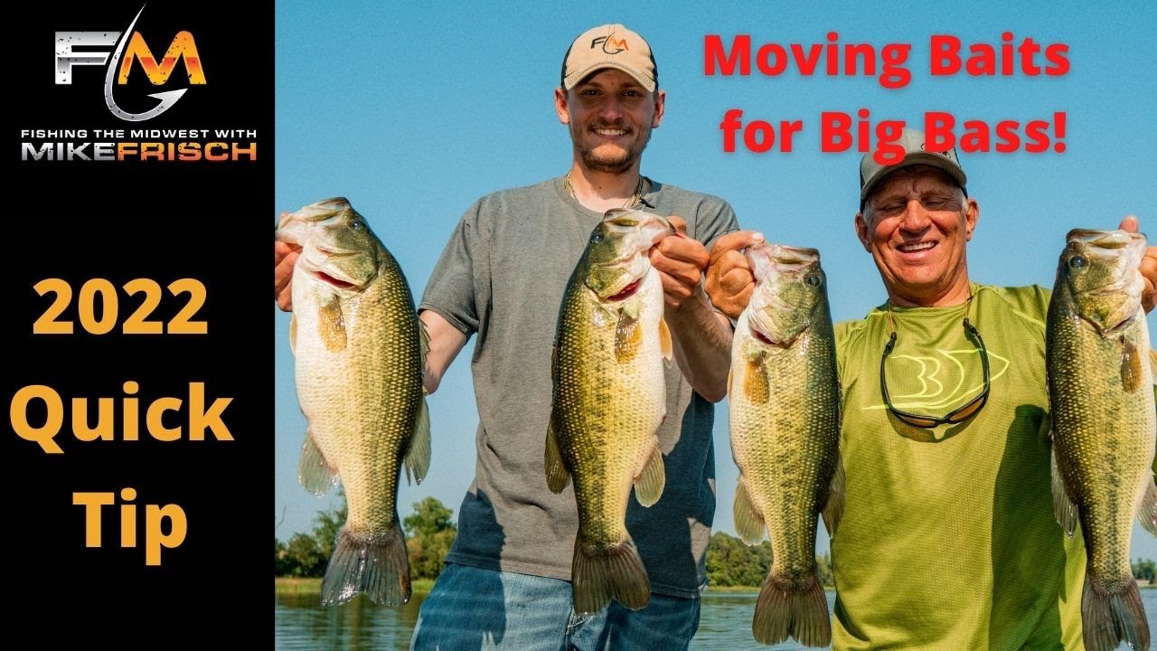 Moving Baits for Bass Right Now! YouTube